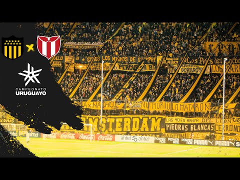 "MIX DE LA HINCHADA, PEÑAROL vs River plate (URU) - Apertura 2024" Barra: Barra Amsterdam • Club: Peñarol