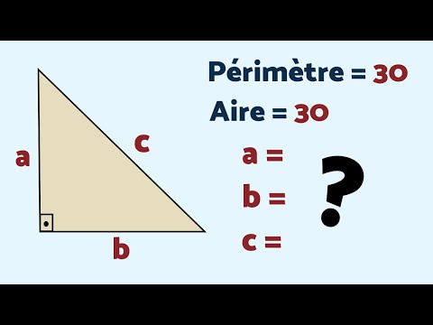 UN CONDENSÉ DE RÉFLEXES 😉