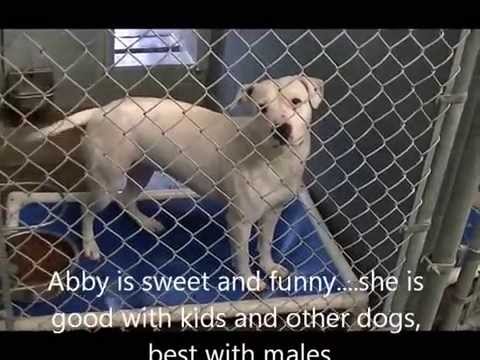 Shelter June 20 2015