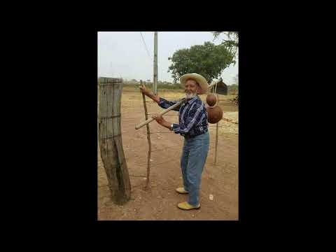 Programa: Caminho da Roça - 21/07/26 - Parte 1 - Apresentação: Paulinho