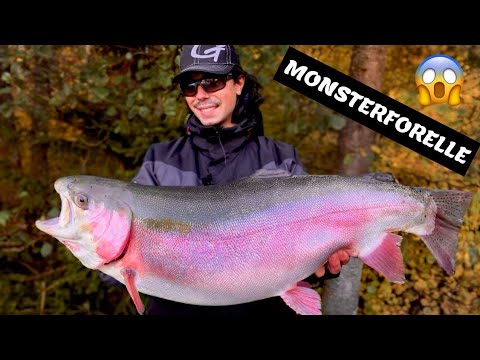 Forellenangeln mit Gummi | Dicke Forellen lieben den Spring Worm 😍