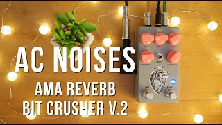 Video thumbnail for AC Noises AMA Reverb Bit Crusher V.2 by Pedal of the Day