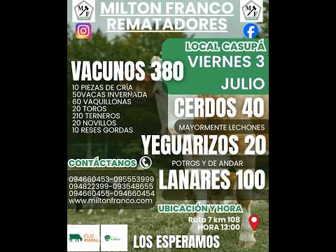 03/07/2026 Local Casupá - Florida - Feria mensual - Milton Franco | Clic Rural