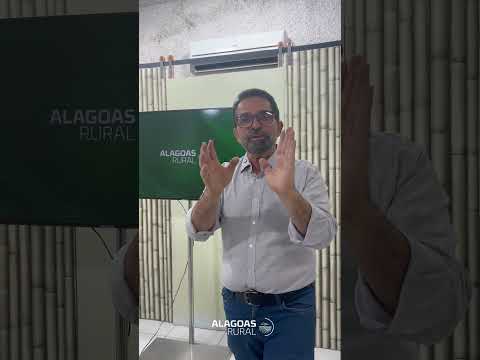 FACTUAL 13 DE SETEMBRO 2026 #canadeacucar #nelore #irrigaçãoagrícola