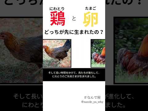 鶏が卵を食べるのですが、なぜですか?何をするか？それを避けるために取るべき6つのステップ  庭園