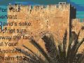 ADONAI MACHASENU 
