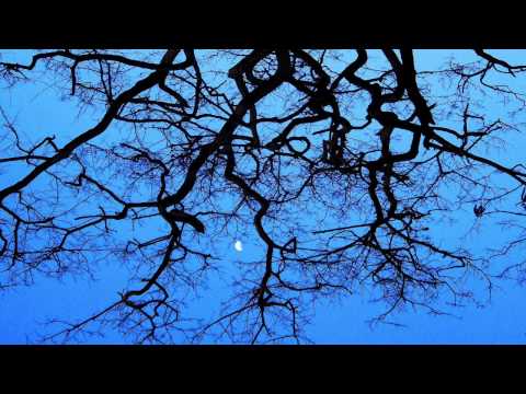 WuduB!? and Saimn-I - I am free