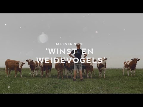 Bodemprijs aflevering 1: Winst & weidevogels
