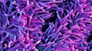 Azymuth – Dear Limmertz [12” Mix]