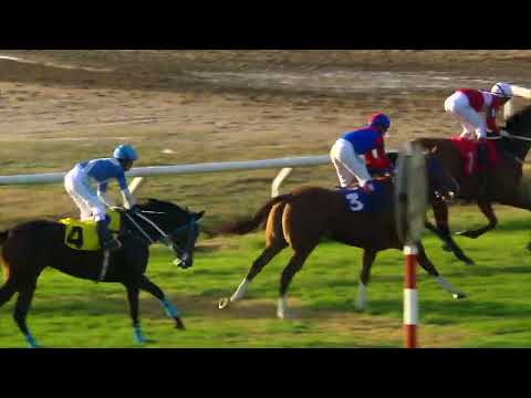 220703 c08 Necessaire/ MISS SHAUN