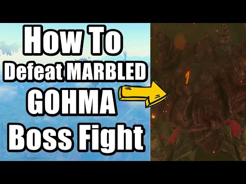 The Legend of Zelda : Tears of the Kingdom - How to Defeat MARBLED GOHMA Boss Fight