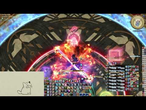 P11S Clear | GNB POV
