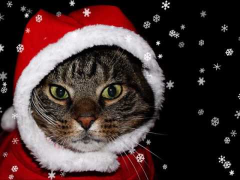 download lagu mp3 mp4 We Wish You A Merry Christmas Wav File, download lagu We Wish You A Merry Christmas Wav File gratis, unduh video klip We Wish You A Merry Christmas Wav File