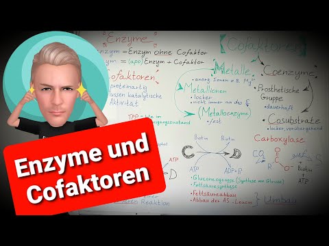 #enzyme Was sind Cofaktoren bzw. Coenzyme? — strukturiert erklärt!!!