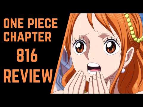 One Piece Chapter 816 Review~Dog vs. Cat