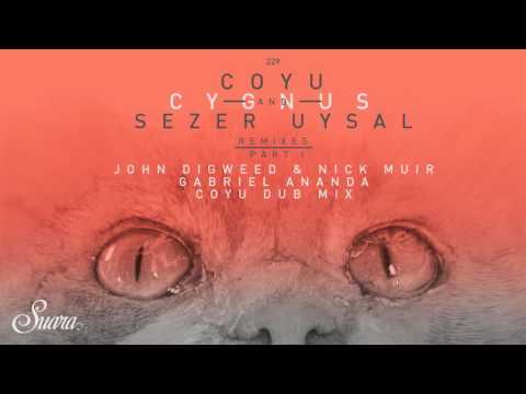 Coyu & Sezer Uysal - Cygnus (Gabriel Ananda Remix) [Suara]