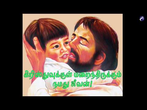 Christ Life Hidden Inside a Grain of Wheat!