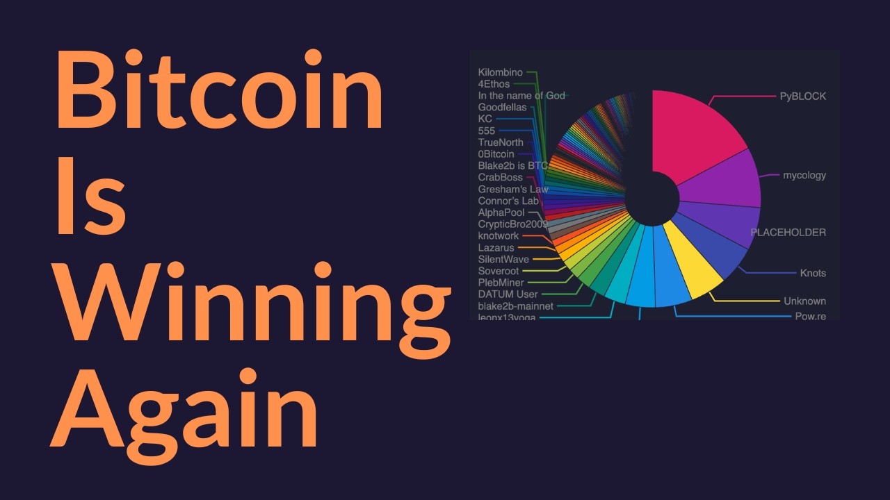 Bitcoin Is Winning Again