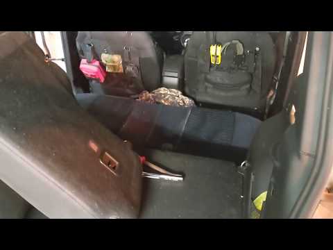 No More Back Seats