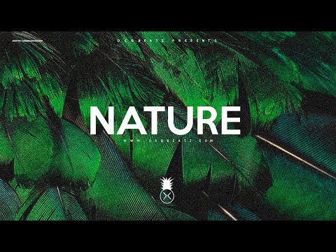 "Nature" - Dancehall x Afrobeat x Wizkid Type Beat Instrumental