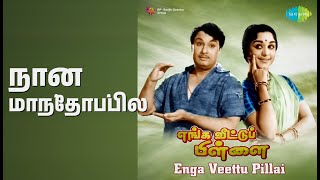Download lagu நான் மாந்தோப்பில் | Enga Veettu Pillai | L.R. Eswari | T.M. Soundararajan Songs mp3