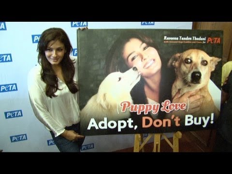 Raveena Tandon Has Adopted 5 Stray Dog