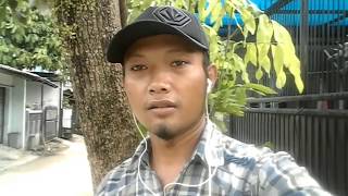 Download lagu Jenis lengkeng yang tidak berbuah (lengkeng itoh) mp3 Download lagu Jenis lengkeng yang tidak berbuah (lengkeng itoh) mp3