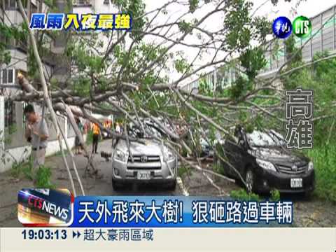 8級風拔樹砸車 直擊驚險一刻!
