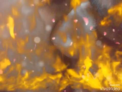 Te iubesc dragostea mea