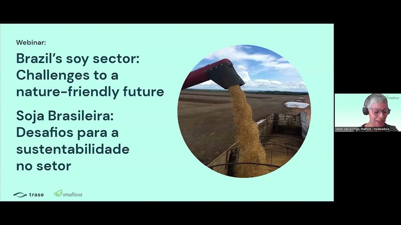 Brazil’s soy sector: Challenges to a nature-friendly future