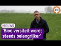 Waterschap wil meer kleur en leven op de dijken