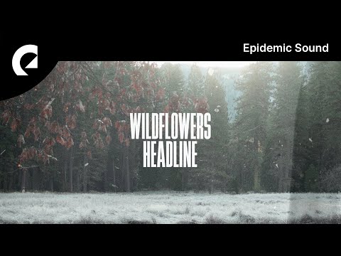 Wildflowers feat. Easton - Headline