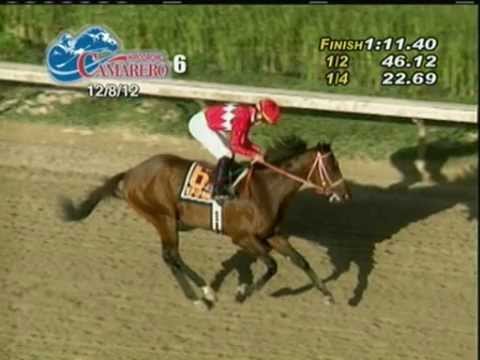 Copa Velocidad 2012 - Epifanio (MEX)