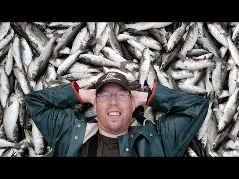 How to Throw a Cast Net (Easy Way) & Tips for Fishing with Cast Nets