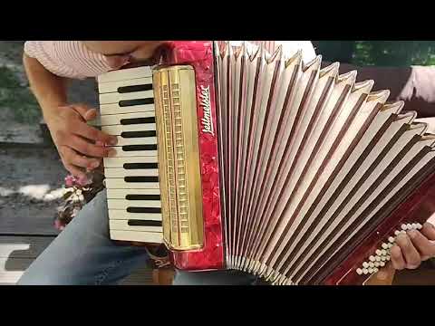 Working rare piano button accordion german weltmeister