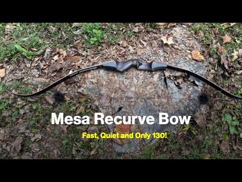 Hidden Gem on Amazon: Deerseeker’s Mesa Recurve Bow is FAST, Quiet & Only $130!