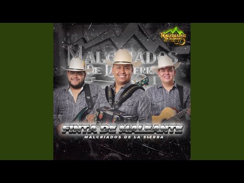 Finta De Maleante