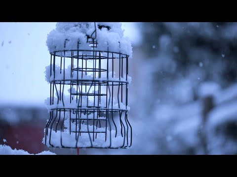 Jaroslav Došek a Adéla Löwová - Sněhem zavátý