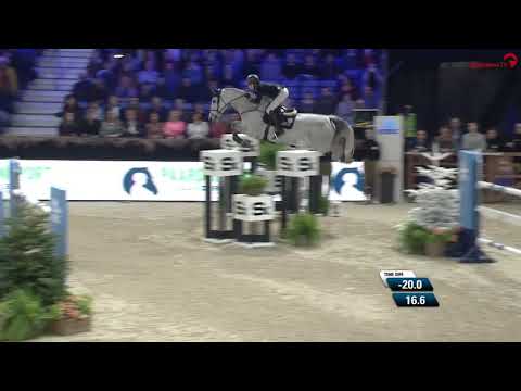 Holsteiner im Rampenlicht - Classic Touch Dh (v. Casall-Corrado) und Thibeau Spitz