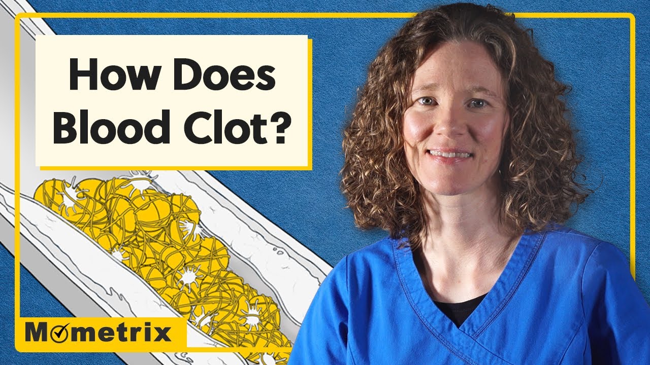 What is a Coagulation Profile Test?