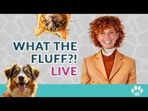 LIVE: How to Handle Pet Loss & Grief Through the Holidays