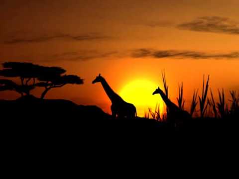 Paul Simon & Linda Ronstadt-Under African Skies (another one)