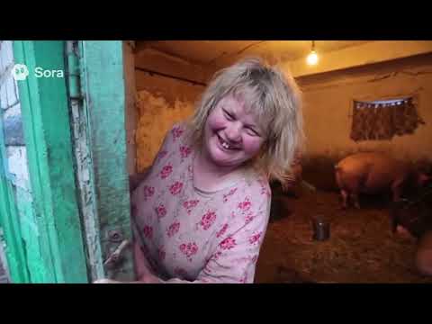 Фермер завёл свиней  в квартире на третьем этаже.