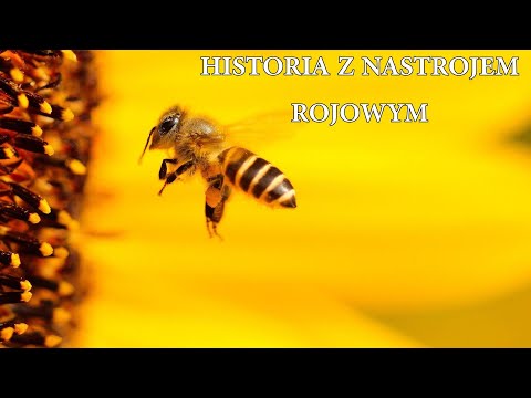 , title : 'Dziwna historia z nastrojem rojowym pszczół.'