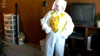 Comedy (Easter bunny dancer)