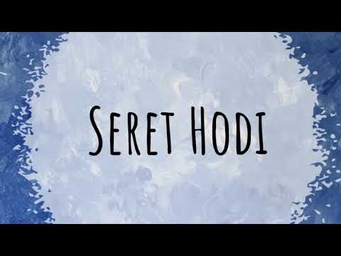 Seret Hodi - Israeli Dance Revolution