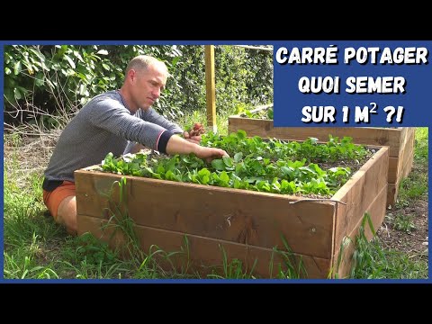 CARRÉ POTAGER - 5 cultures sur 1 m² ?! 🤔