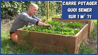 CARRÉ POTAGER - 5 cultures sur 1 m² ?! 🤔