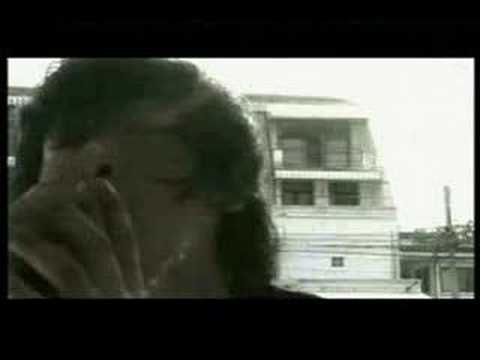 BRANDNEWSUNSET - crawling