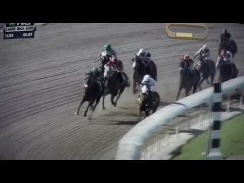 CARRY BACK S, (G3) $150,000 - 2017 THREE RULES !!!